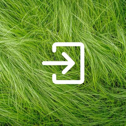 Website Login