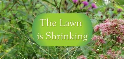 The Lawn is Shrinking