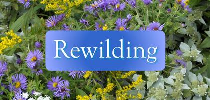Rewilding