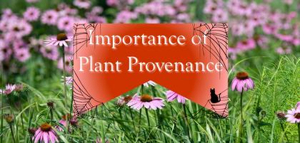 The Importance of Plant Provenance
